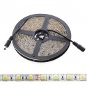 Tira de 600 LEDs 60W 7.000Lm 3000ºK SMD2835 24VDC IP65 30.000H [CA-2835-600-24-IP65-EXWW]