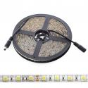 Tira Led 300 x SMD5050 60W 24VDC IP65 Blanco Cálido 2300K - Imagen 1