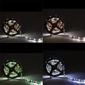 Tira de 5 Metros 300 LEDs 60W SMD5050 24VDC IP20 RGB+Blanco - Imagen 3