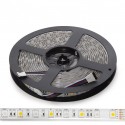 Tira de 300 LEDs 60W 3.402Lm 3000ºK SMD5050 24VDC IP65 RGB+Blanco Cálido x5M 30.000H [CA-5050-60-24-IP65-RGB-WW]