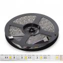Tira de 5 Metros 300 LEDs 60W SMD5050 24VDC IP65 RGB+Blanco Cálido - Imagen 1
