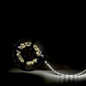 Tira LED 12VDC SMD3528 60Xm 5Mm Ancho IP25 5M - Imagen 3