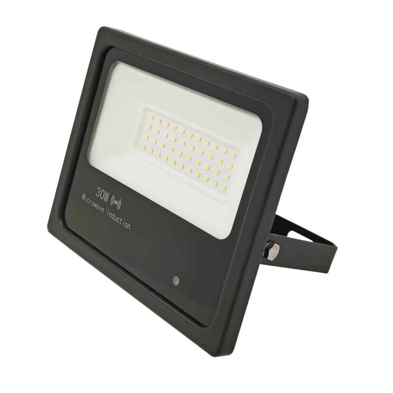 Foco Proyector LED IP65 Detector Movimiento Integrado 30W 30.000H - Imagen 1