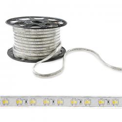 Tira LED 230VAC SMD2835 120LEDs 12W/M Cálido/Frío IP65 (Por Metros) - Imagen 1